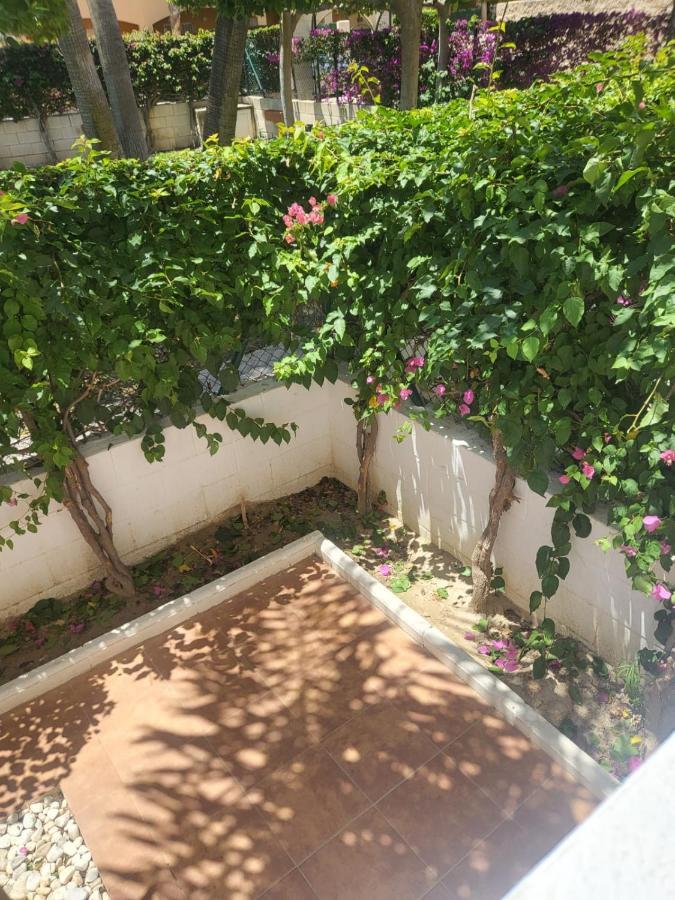 ¡Bajo Precioso Con Salida Directa A La Piscina Comunitaria En Paraiso De Vera! Экстерьер фото